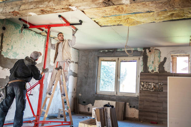 Best Commercial Insulation in Seneca, MO