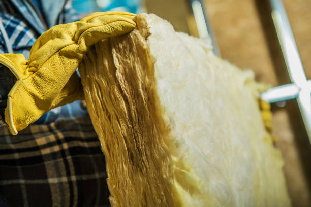 Best Insulation Maintenance and Repair in Seneca, MO